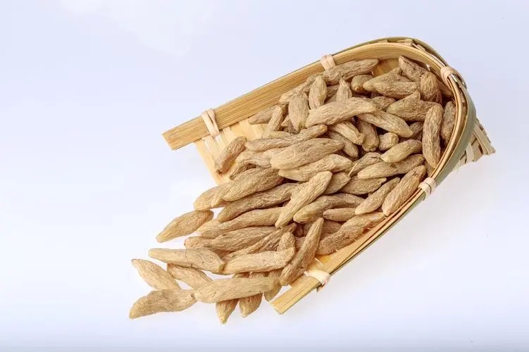 麦冬1.JPG